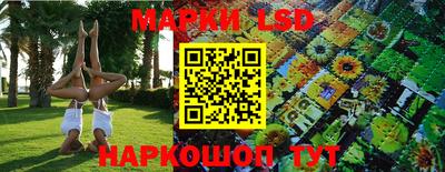 спиды Краснознаменск