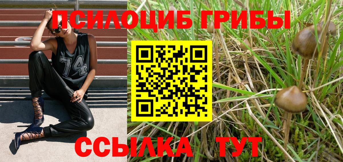 Псилоцибиновые грибы прущие грибы  наркота  Псилоцибиновые грибы Magic Shrooms  Биробиджан  Вход с VPN 